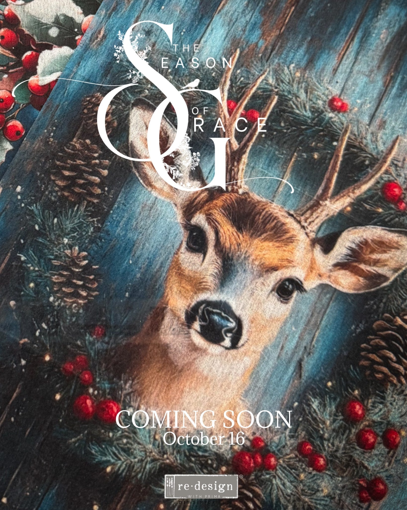 Season of Grace new release by Redesign with Prima in New Zealand