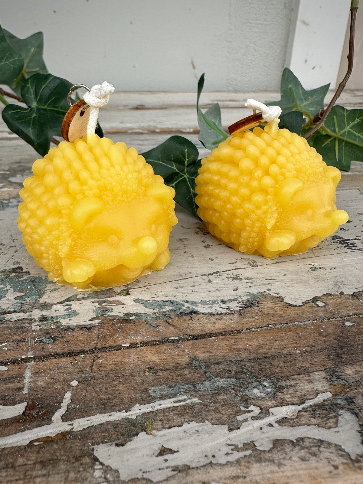 Two yellow hedgehog-shaped candles on a wooden surface with green leaves in the background.