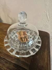 Mini glass cloche top and base
