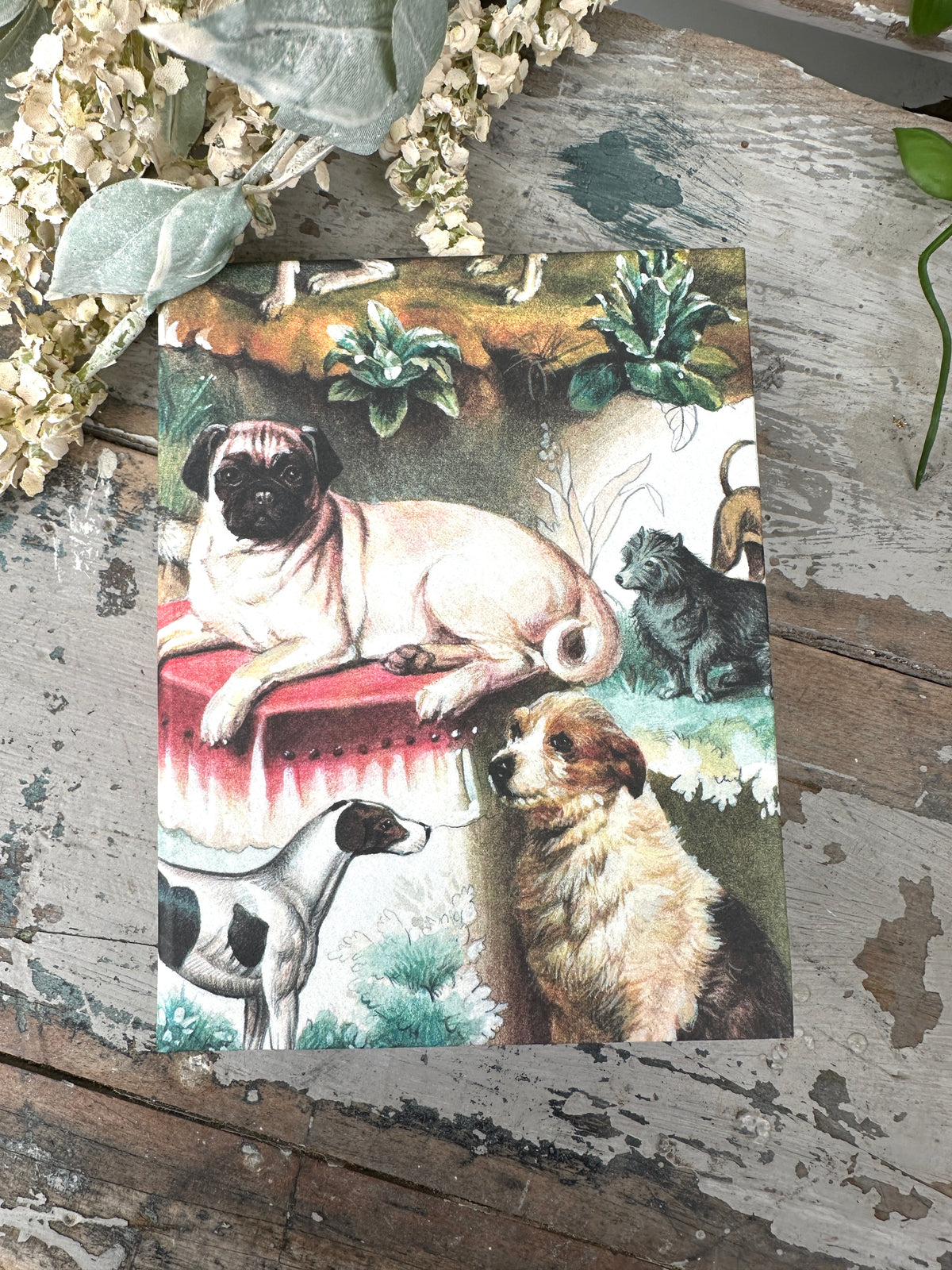 Jotter Pad Lounging Dogs