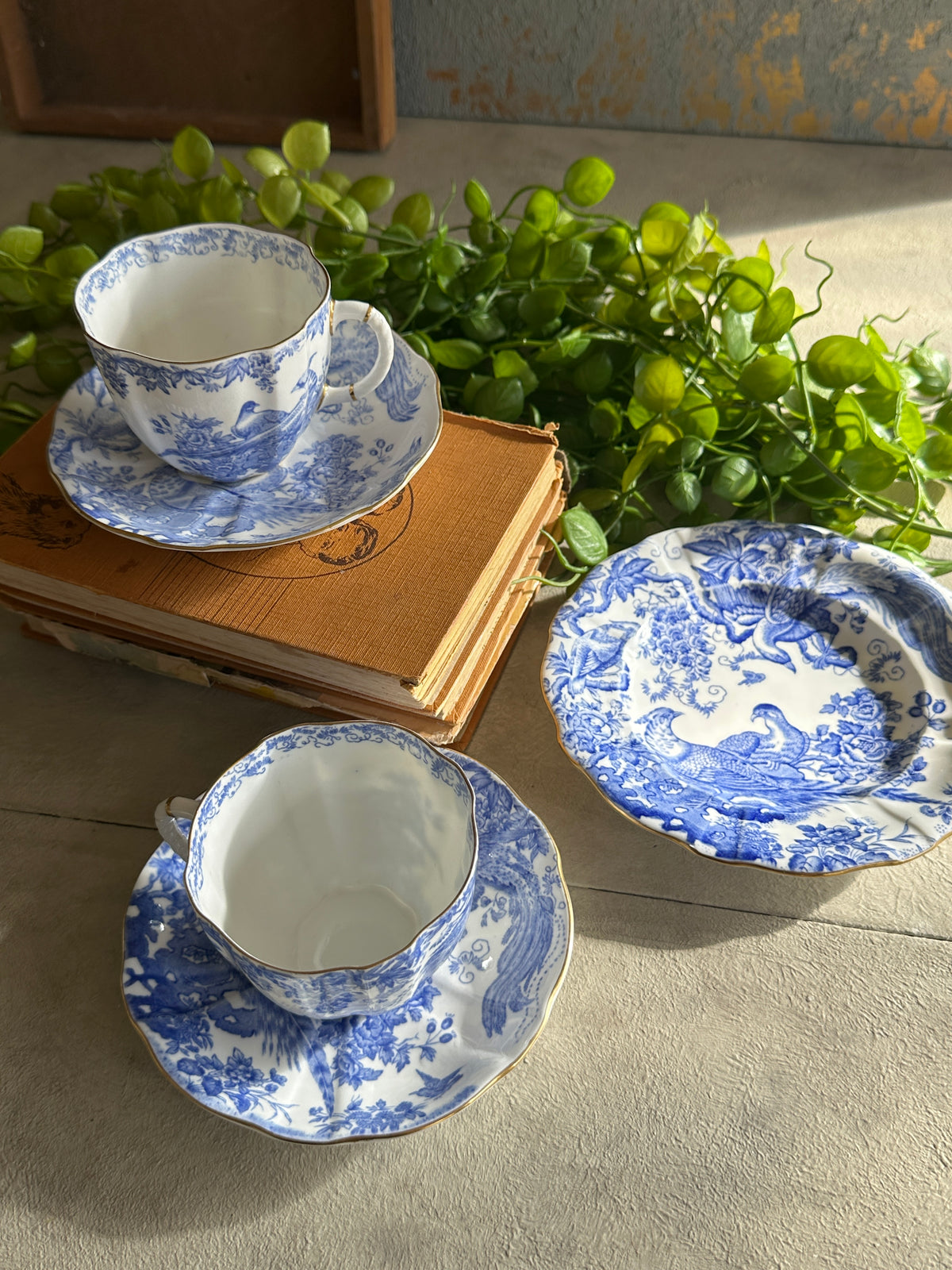Royal Crown Derby Mikado Blue & White saucer only 1949