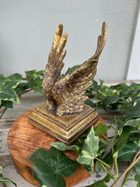 Gold Angel Wings