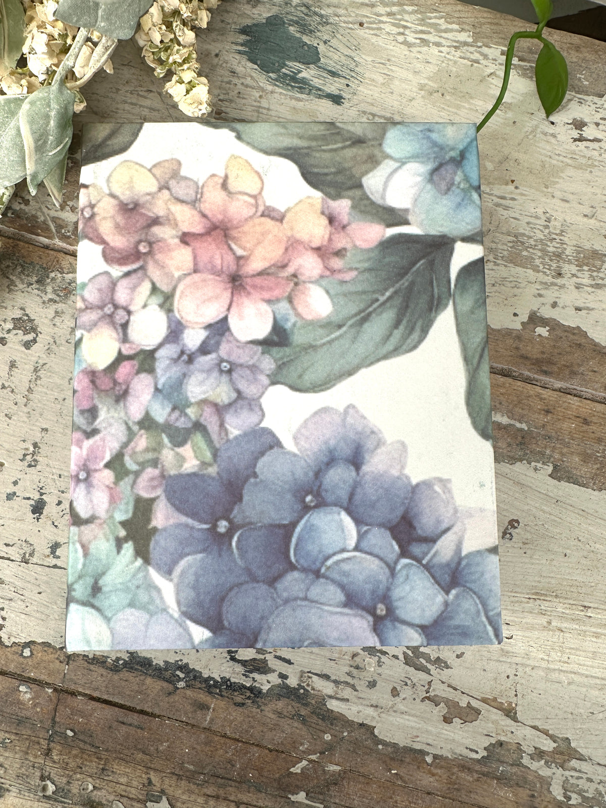 Jotter Pad Hydrangea Blooms II