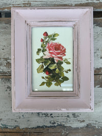 Collection of floral pictures chalk painted