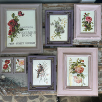Collection of floral pictures chalk painted