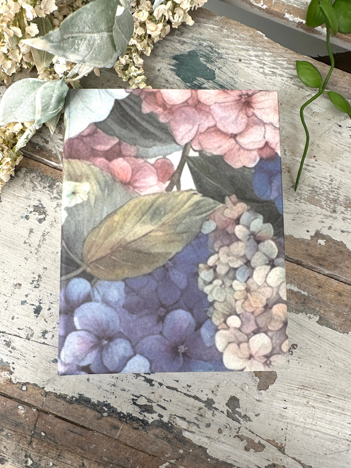 Jotter Pad Hydrangea Blooms III