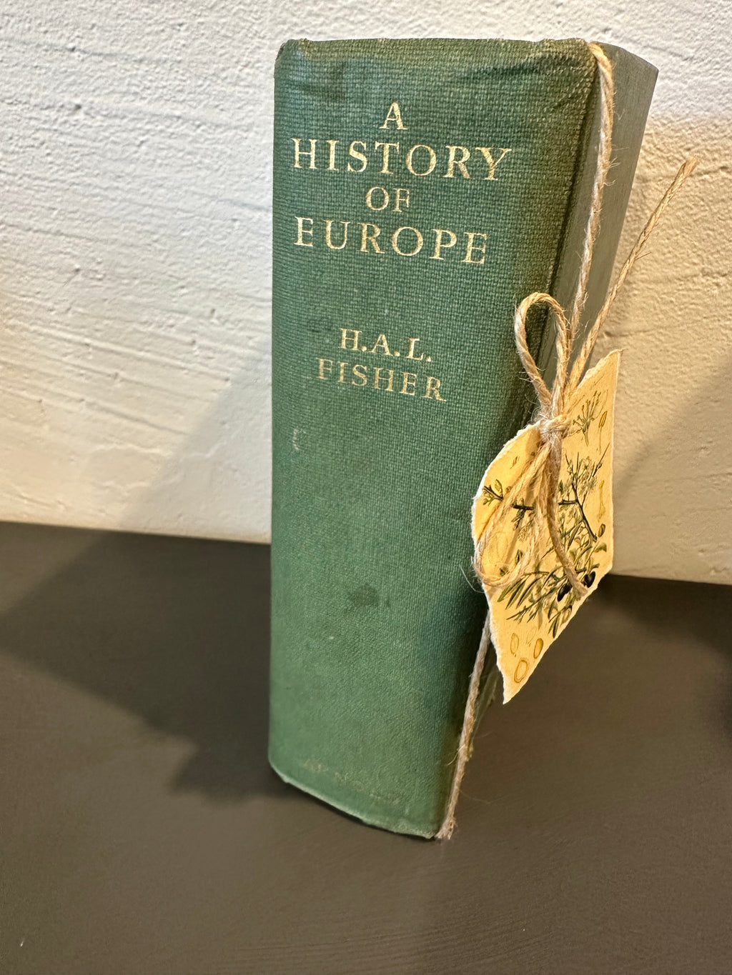 Book Stack green History of Europe
