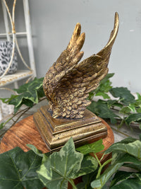 Gold angel wing decoration on a plant with a neutral background