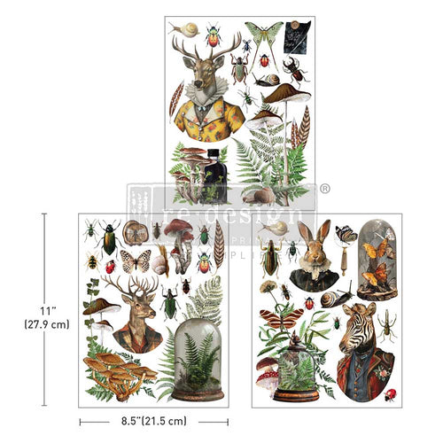 Redesign with Prima transfer middy Ephemera Enclave