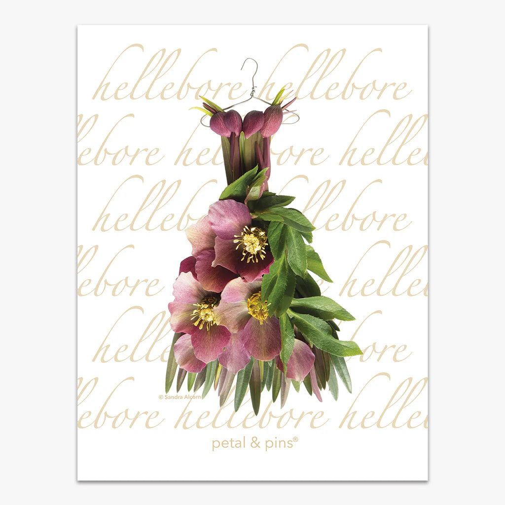 Pure Linen Tea towel Crimson Hellebore