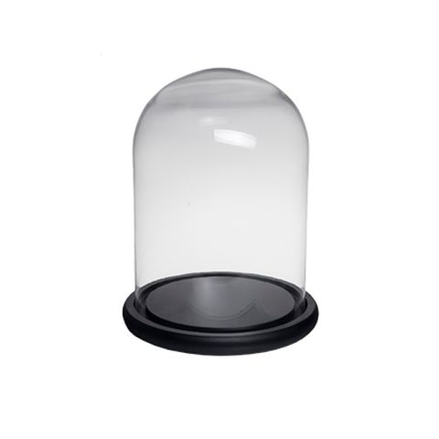 Glass Cloche Round Dome medium by French Country Collections COLLECT ONLY