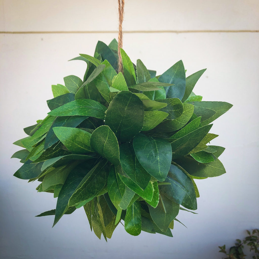 Hanging Topiary Ball Bay Leaf