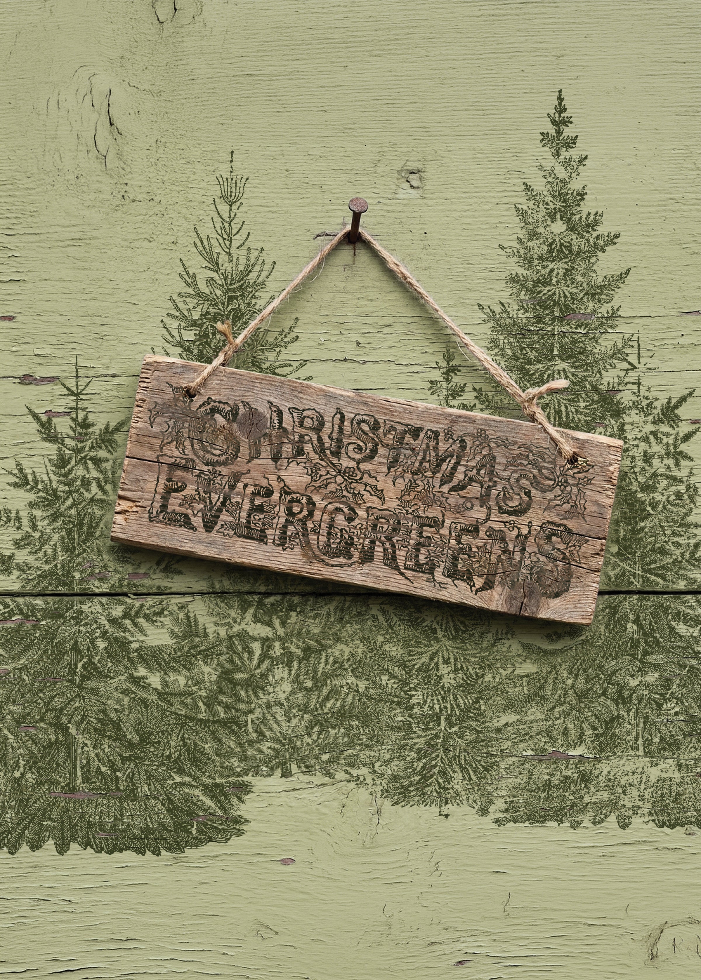 Shop the official IOD August 2026 Holiday Collection! Discover limited-edition Iron Orchid Designs moulds, transfers, stamps & paint inlays for holiday DIYs.