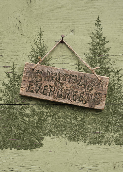 Shop the official IOD August 2026 Holiday Collection! Discover limited-edition Iron Orchid Designs moulds, transfers, stamps & paint inlays for holiday DIYs.