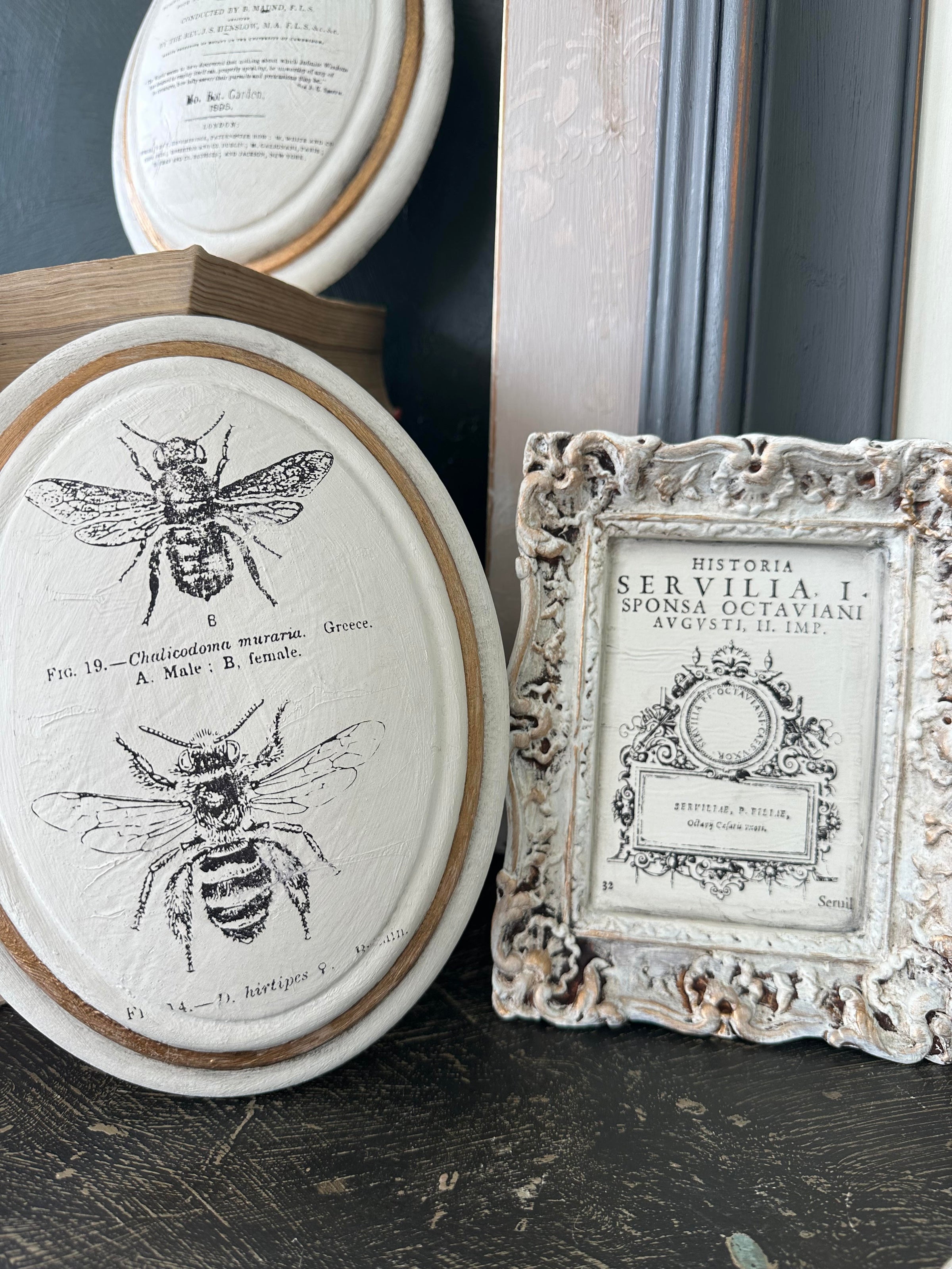 IOD Paint Inlays for Furniture & Décor – Paint Me Vintage