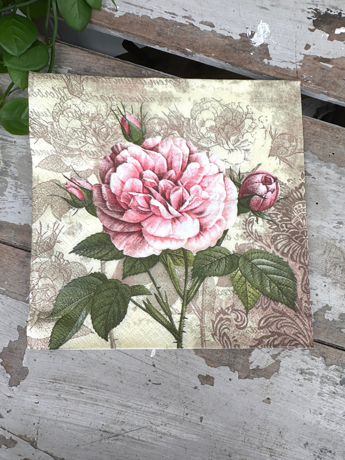 Vintage Rose Stem Napkin for Decoupage