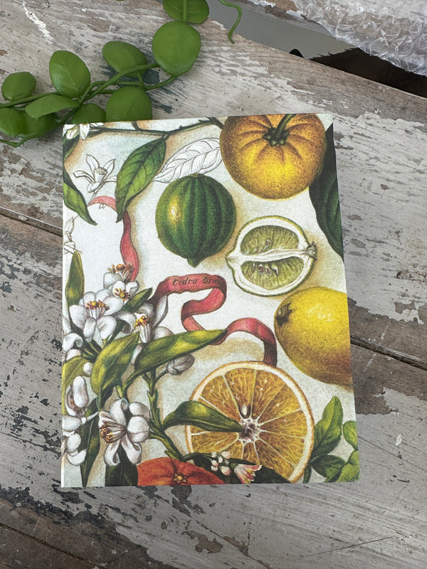 Jotter Pad Lemons Summer Breeze