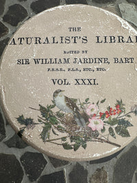 Bird in Nest shabby side table or stand