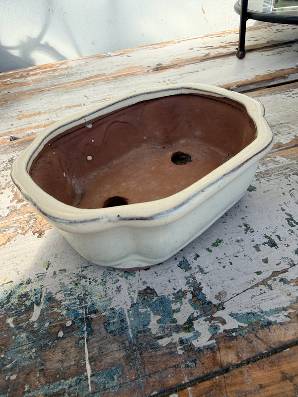 Bonsai Planter in French Cream