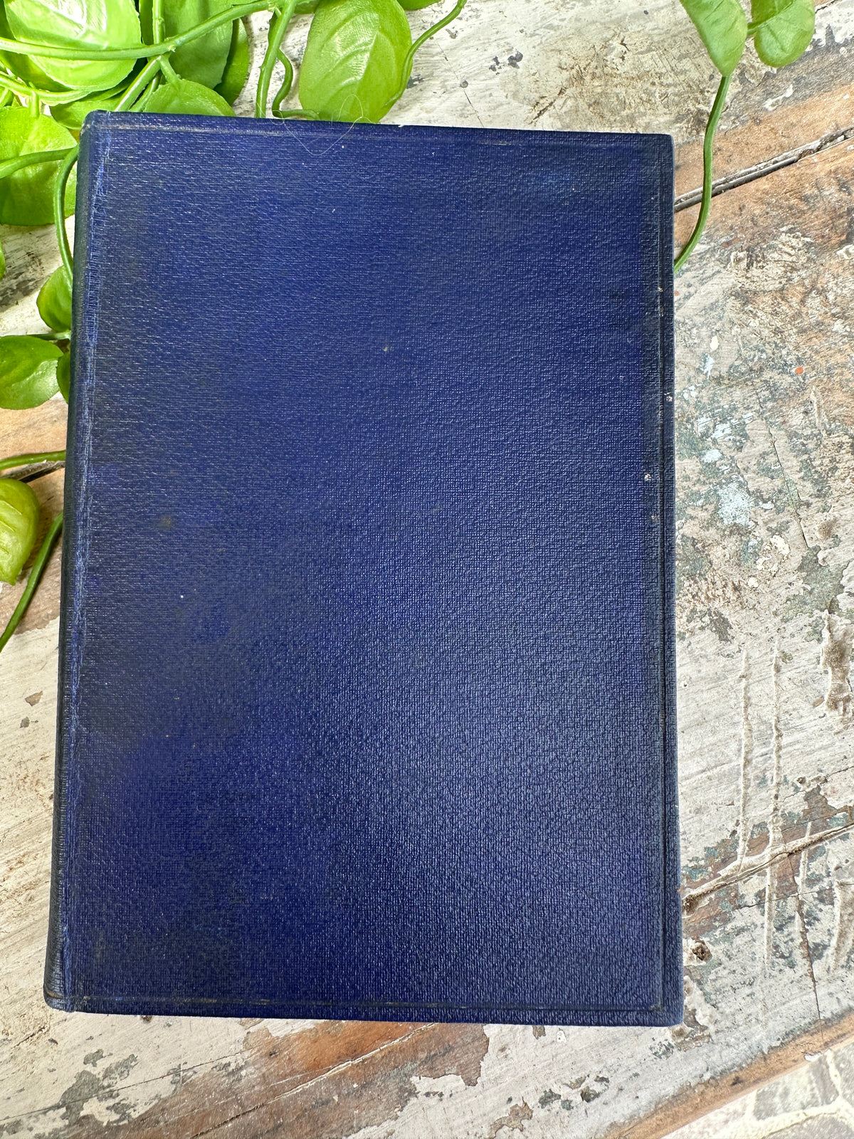 Vintage Book Old Saint Paul's navy