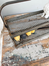 Metal 2 shelf Caddy w handle