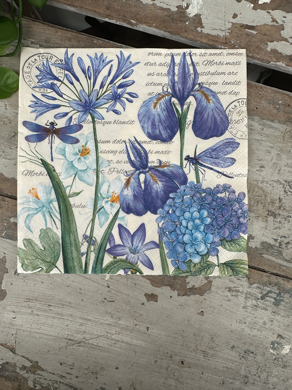 Blue Iris, hydrangea  & dragonfly Napkin for Decoupage