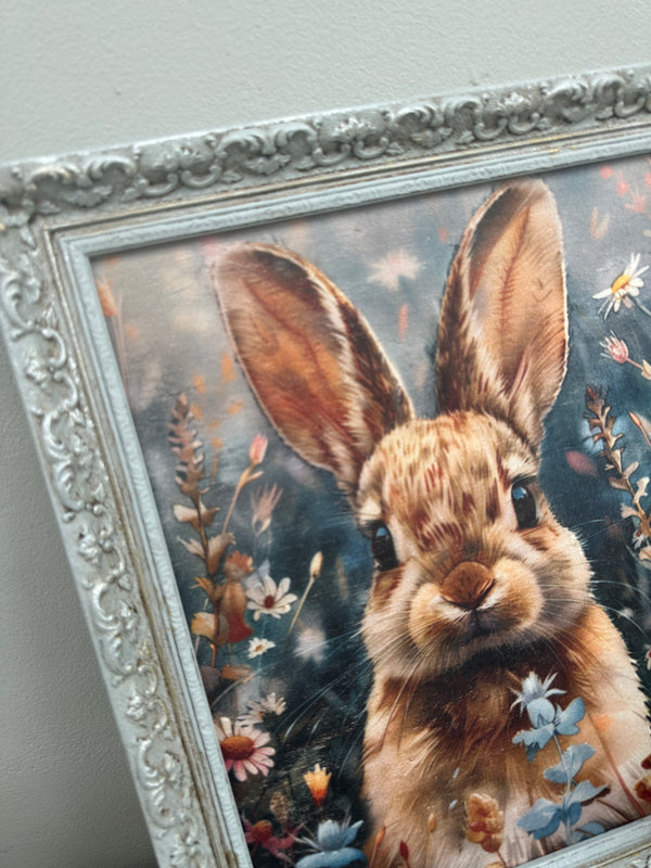 Vintage framed Beautiful Bunny