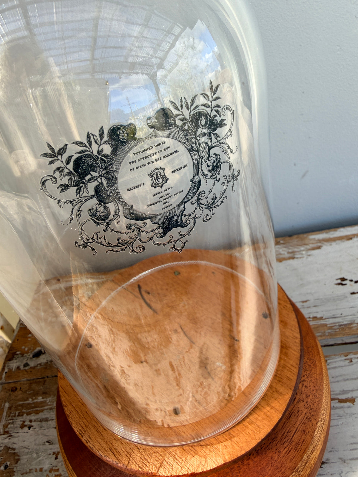Glass Cloche on natural wood base COLLECT ONLY
