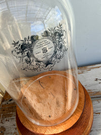 Glass Cloche on natural wood base COLLECT ONLY