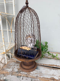A rustic metal birdcage planter  with the Maison Garden Cloche.