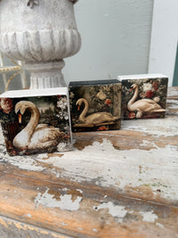 Swan Art Block- choose your design