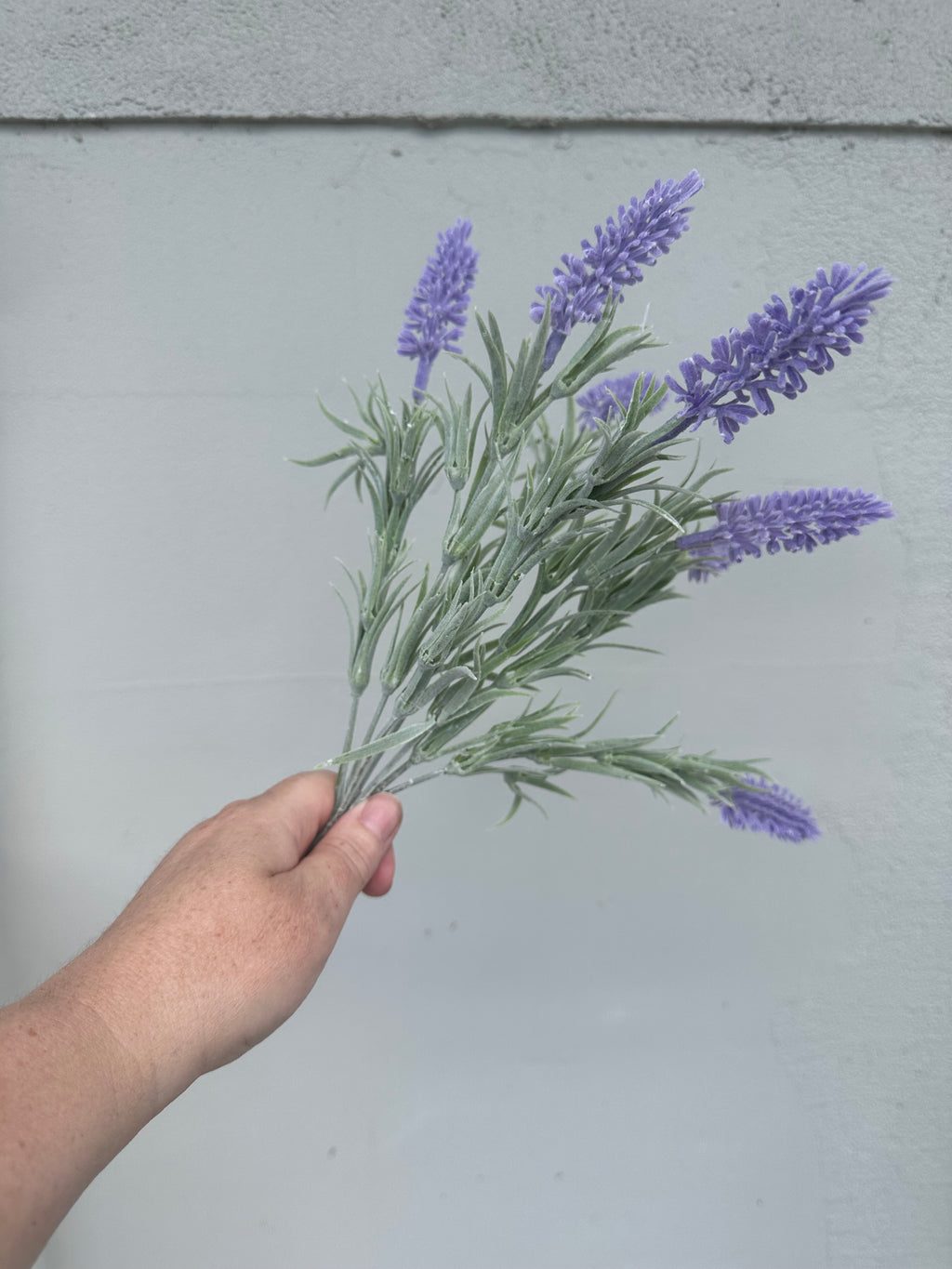 Wild Lavender multi stem