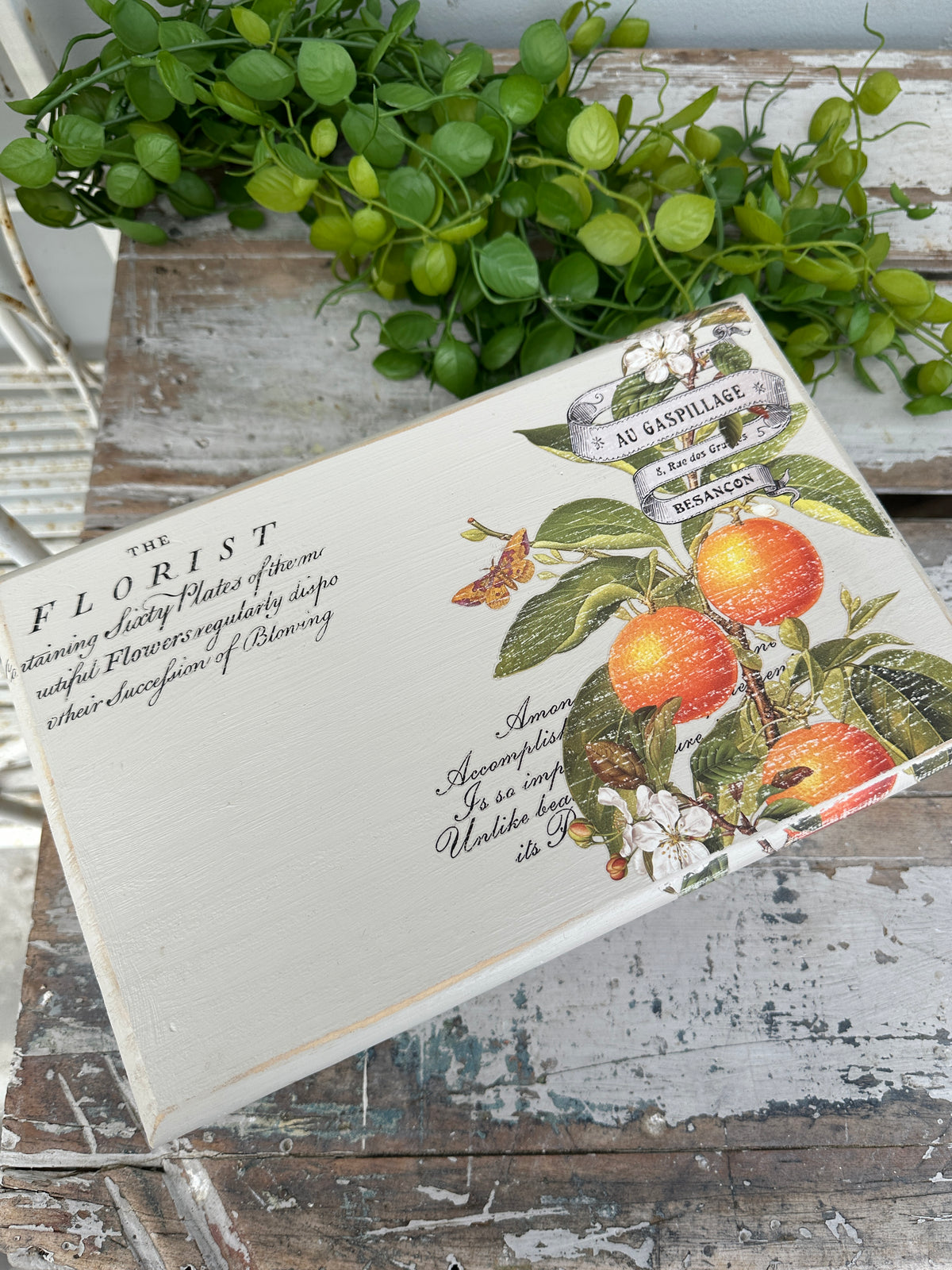 Wooden Box with hinged lid Clementine