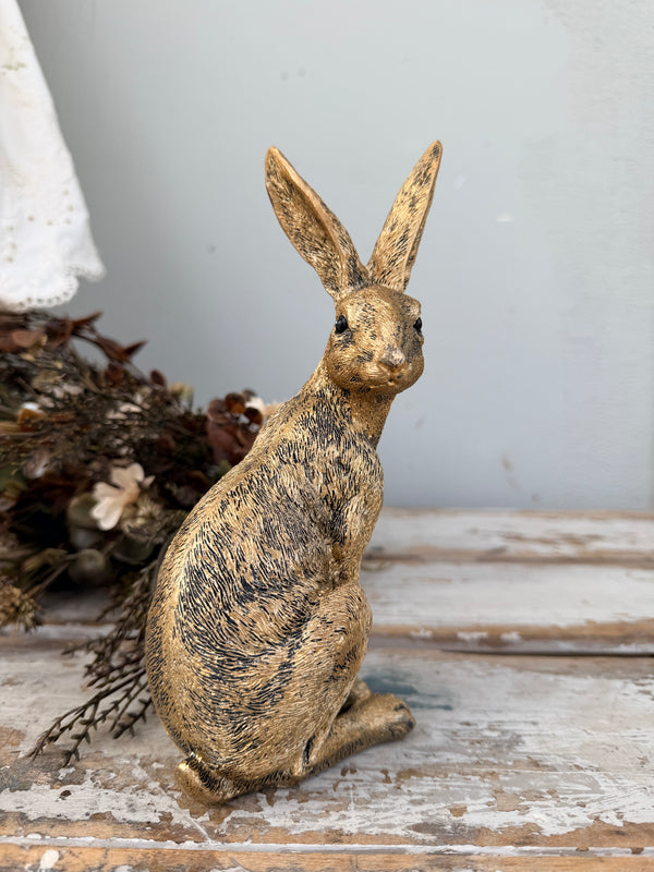 Golden Rabbit Sitting