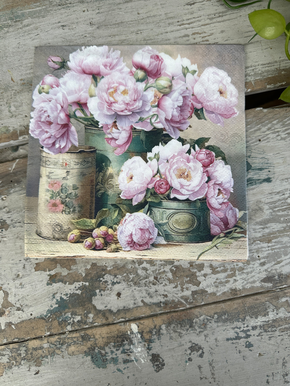 Romantic Peony Cans Napkin for Decoupage