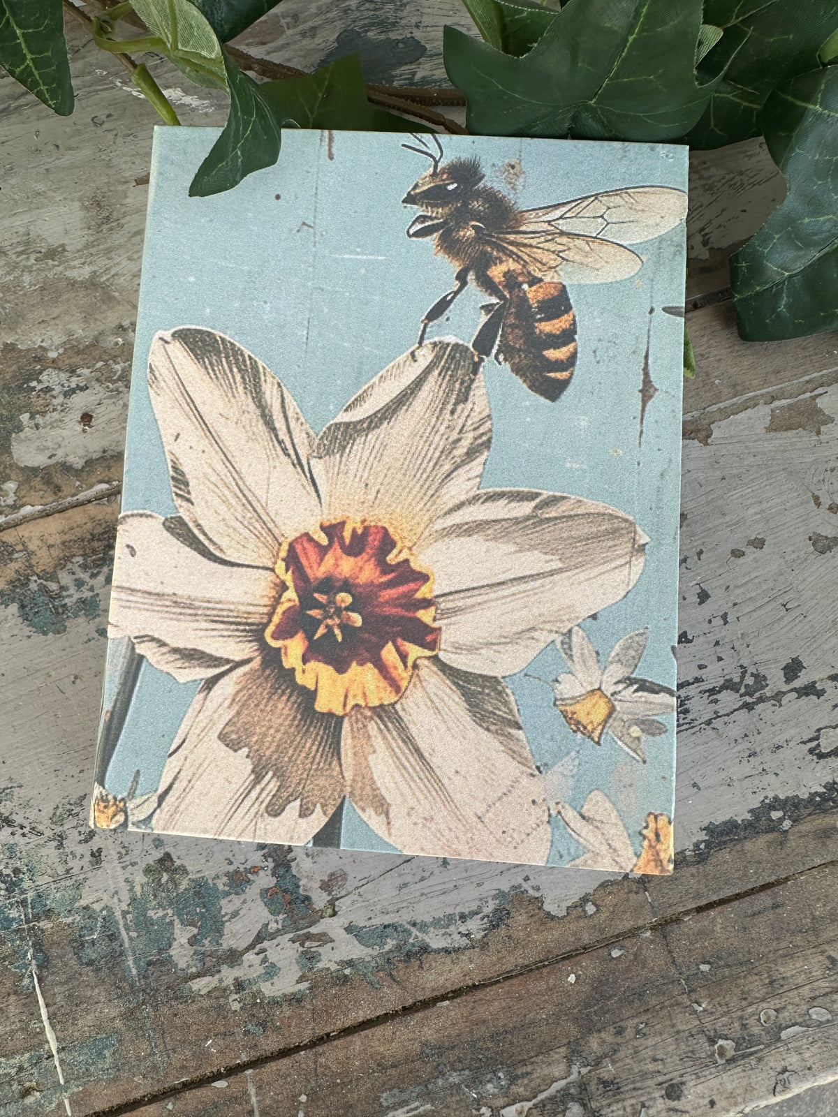 Jotter Pad White Daffodil