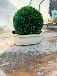 Bonsai Planter in French Cream