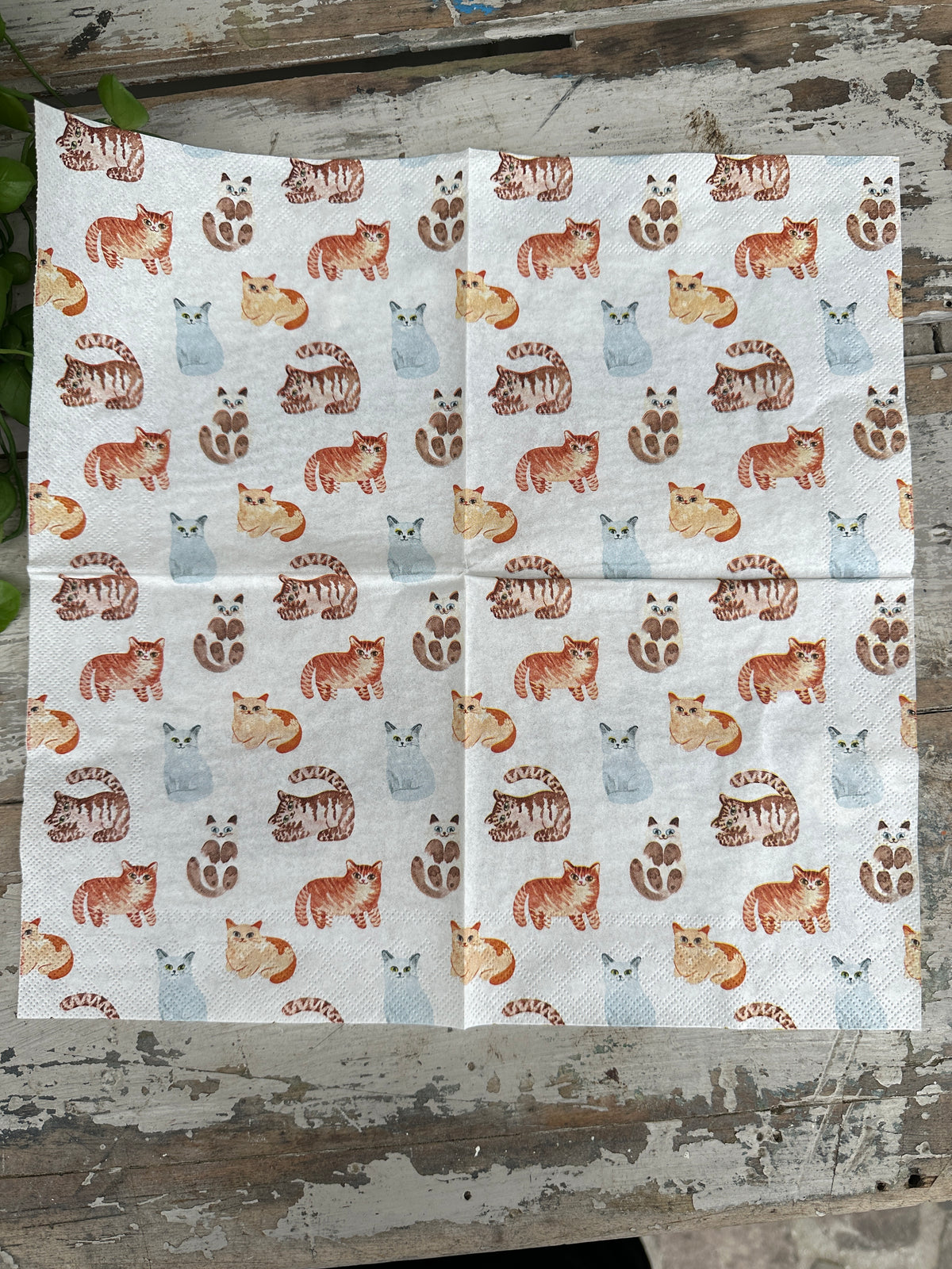 Cats Napkin for Decoupage