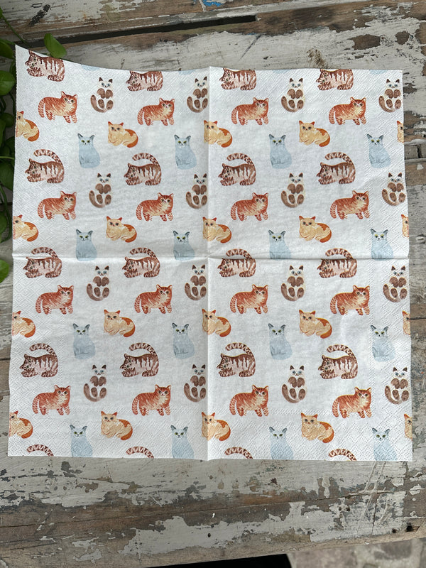 Cats Napkin for Decoupage