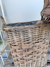 Standing Baskets Willow Greywash