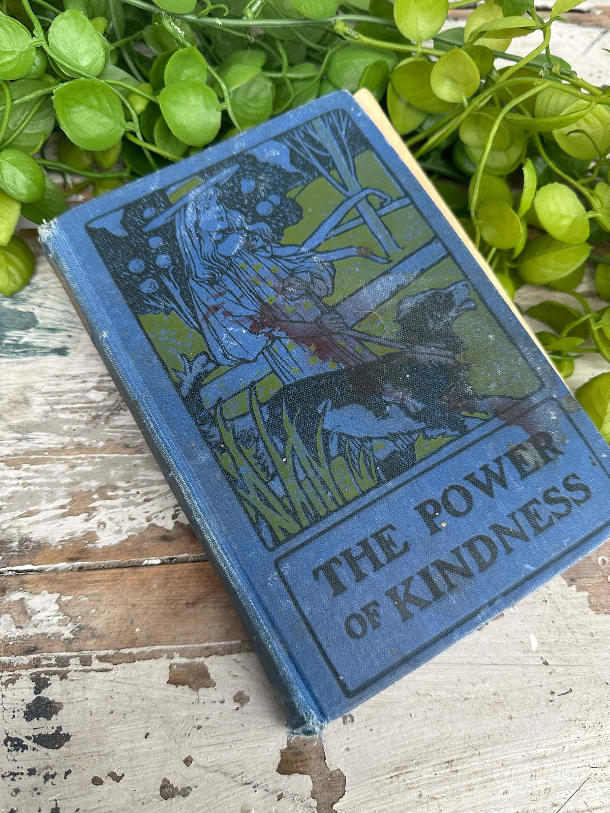 The Power of Kindness Vintage Book Blue