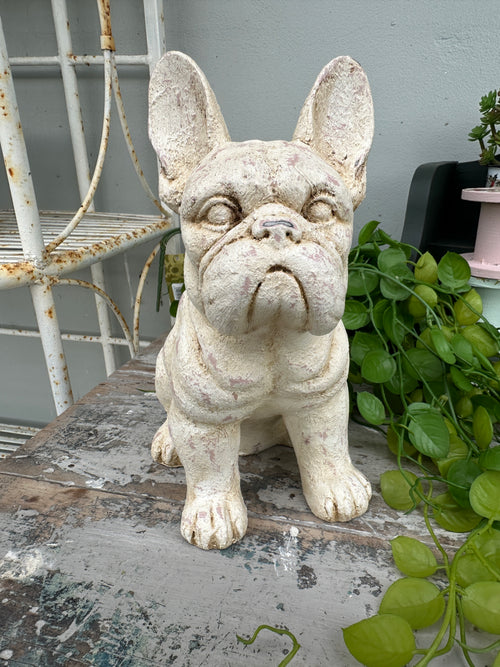 Shabby look painted dog