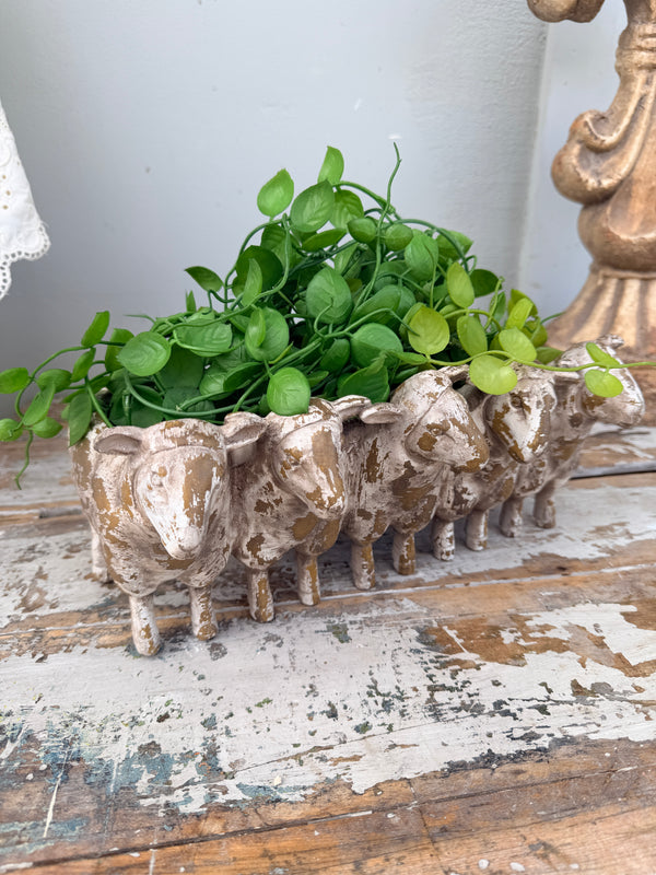 Sheep planter all in a row