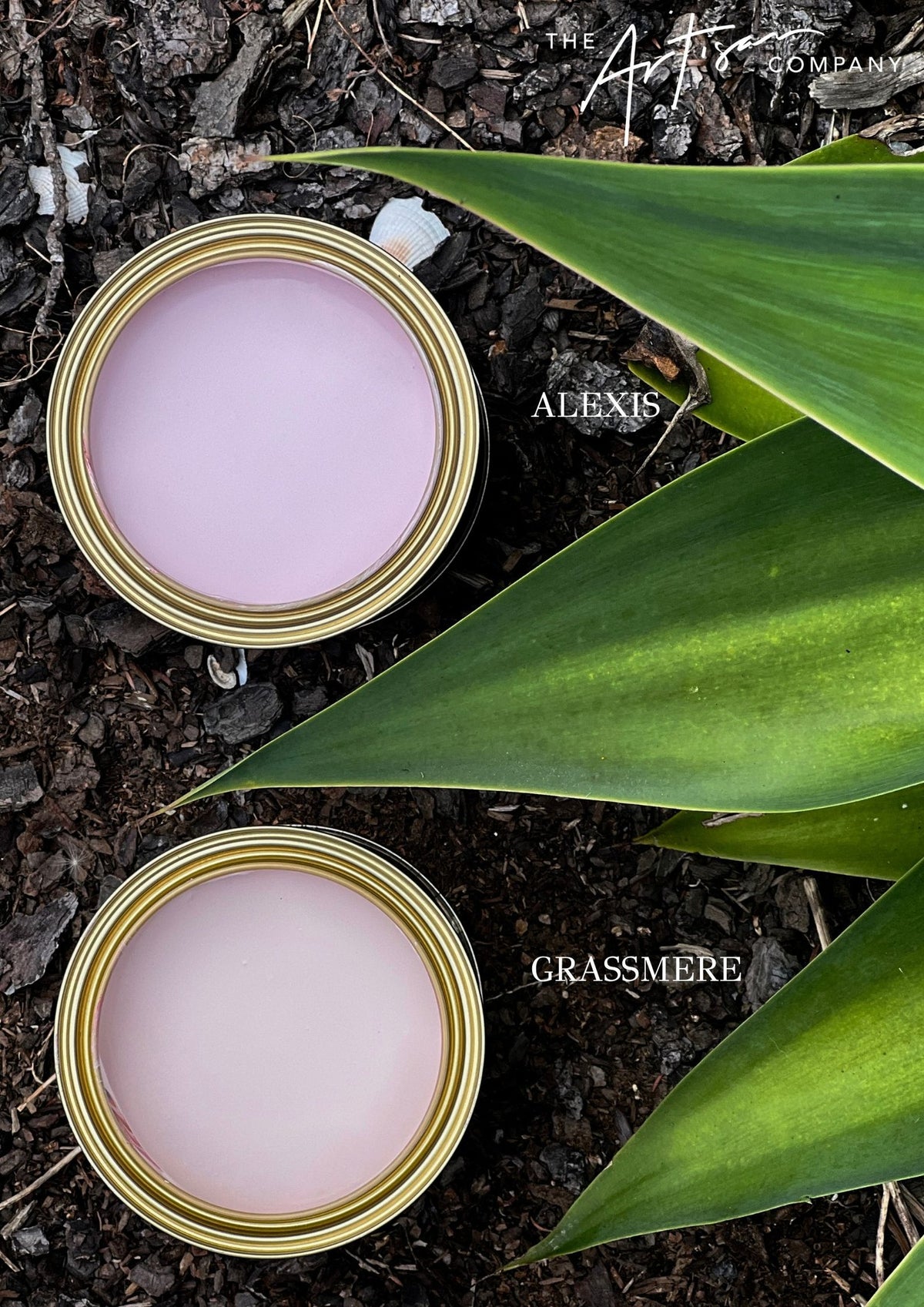 Two cans of paint labeled 'Alexis' and 'Grassmere' on a natural background with leaves. artisan paint