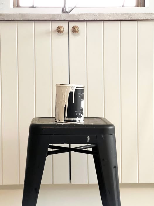 Wild Tusk Velvet Luxe Chalk Paint