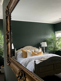 Starling Velvet Luxe chalk paint