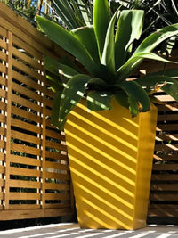 Bright Buttercup Premium Chalk Paint