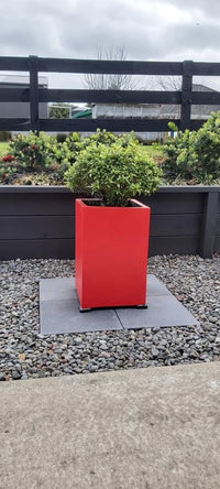 Ruby Glass Velvet Luxe Chalk Paint