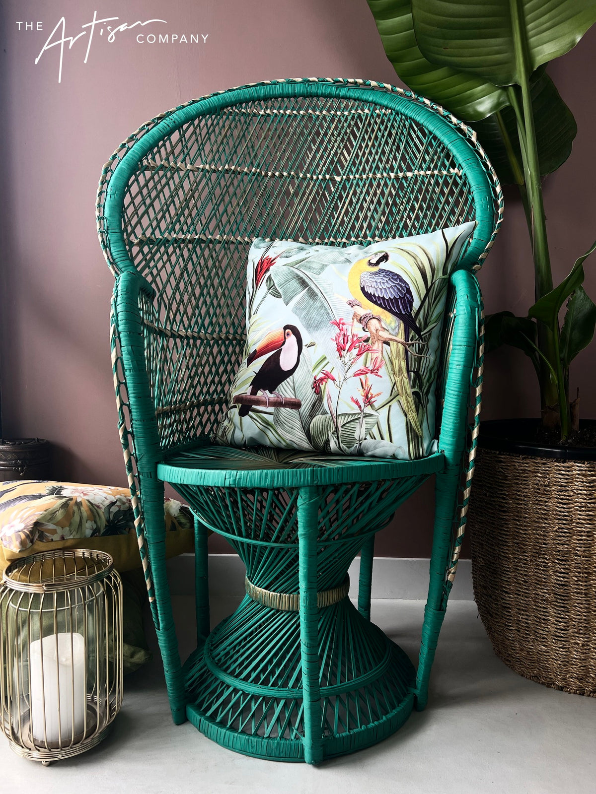 peacock chair