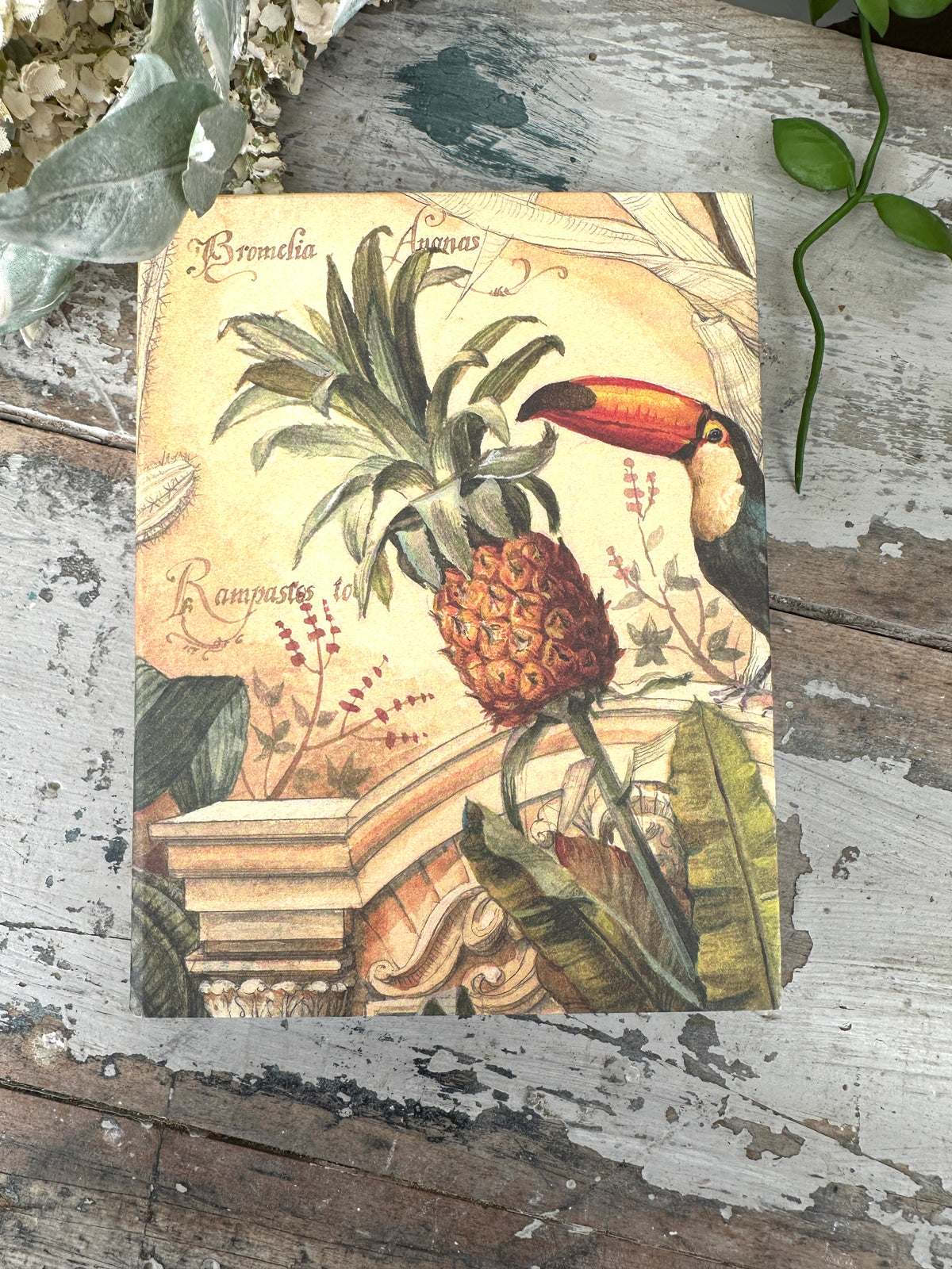 Jotter Pad Bromelia Pineapple